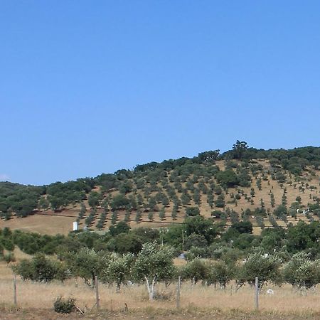 Girassol Alojamento Local Montemor-o-Novo Buitenkant foto