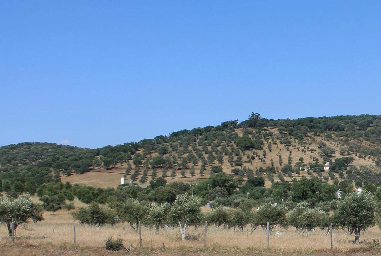 Girassol Alojamento Local Montemor-o-Novo Buitenkant foto